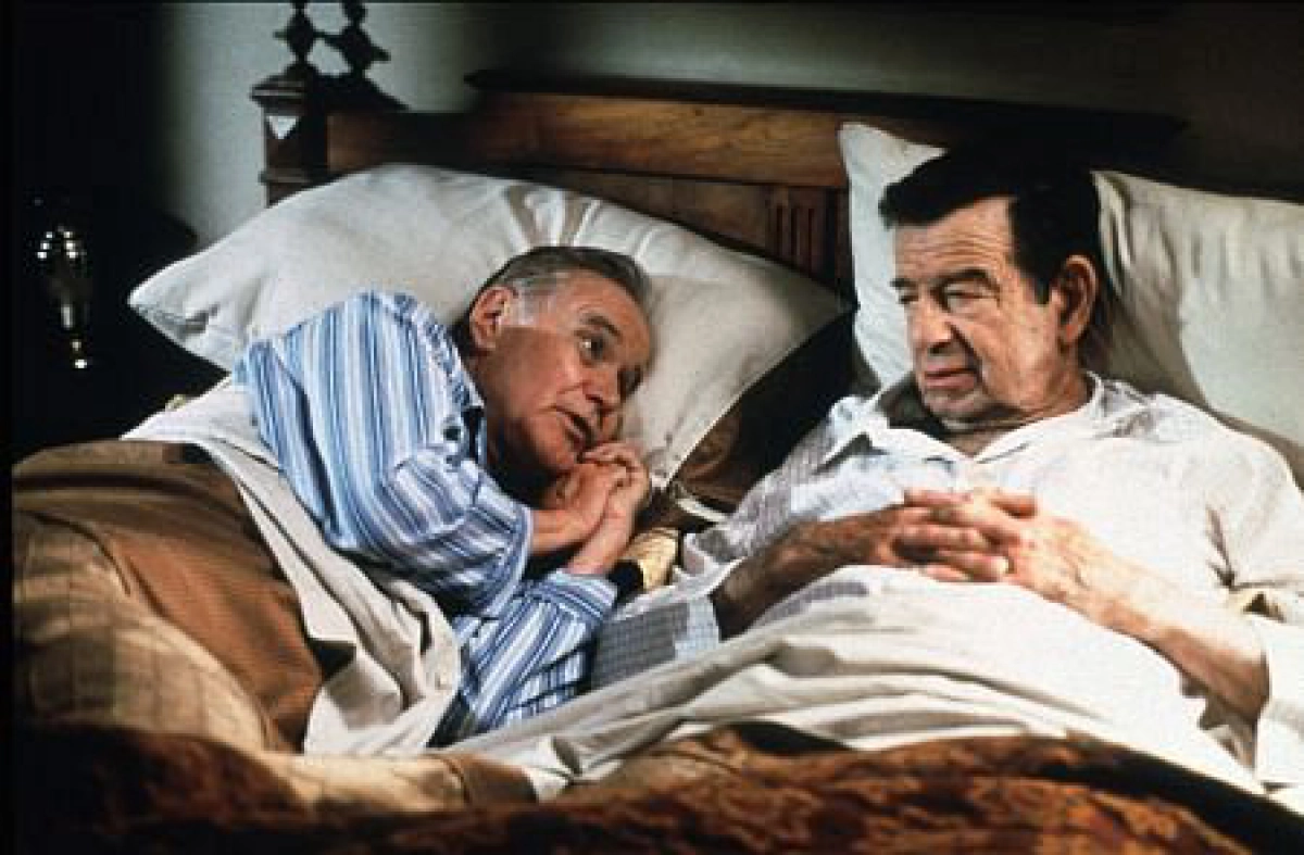 The Odd Couple II (The Odd Couple II)