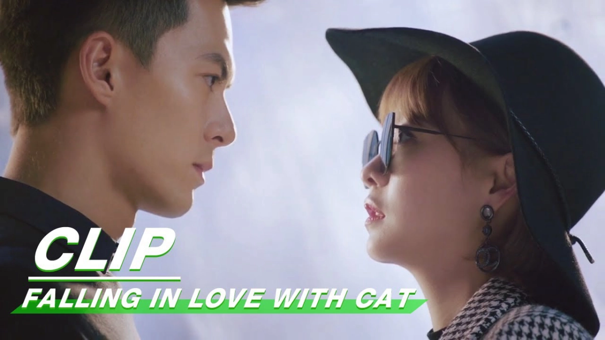 Yêu Phải Nàng Meo Tinh (Falling in Love With Cat)